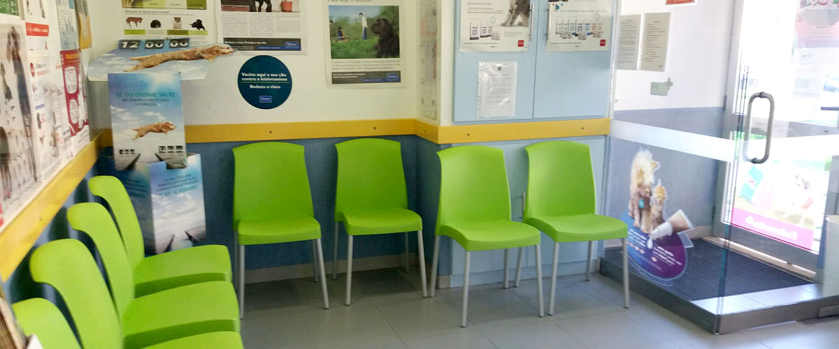 Interior da Clínica Veterinária de Abrantes