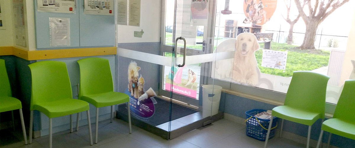 Interior da Clínica Veterinária de Abrantes