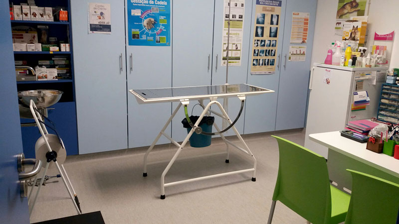 Serviços Clínica Veterinária de Abrantes